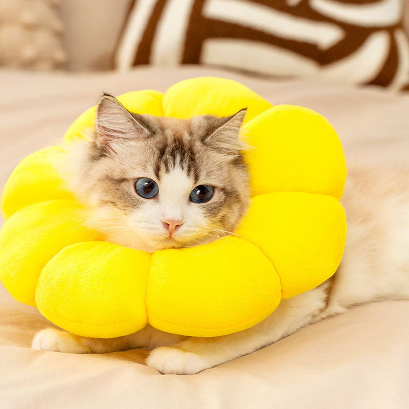Soft Padded Recovery Cones For Pet Lick-Proof After Surgery canrusupet
