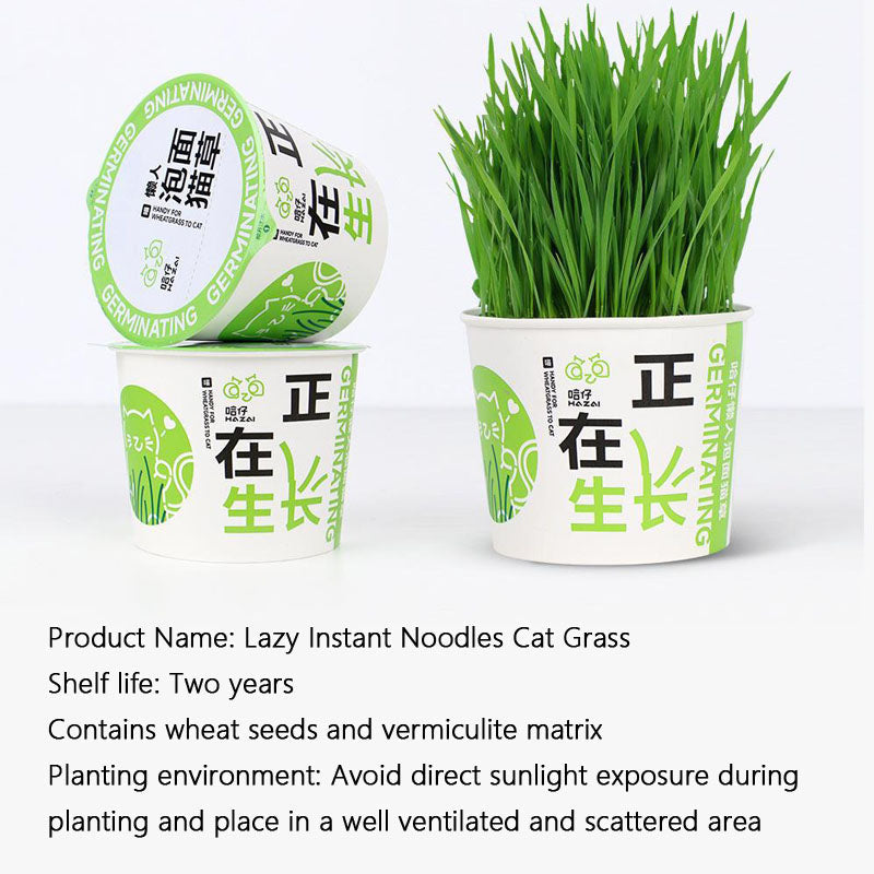 Easy-Grow Cat Grass Kit - Hairball Relief For Indoor Cats canrusupet