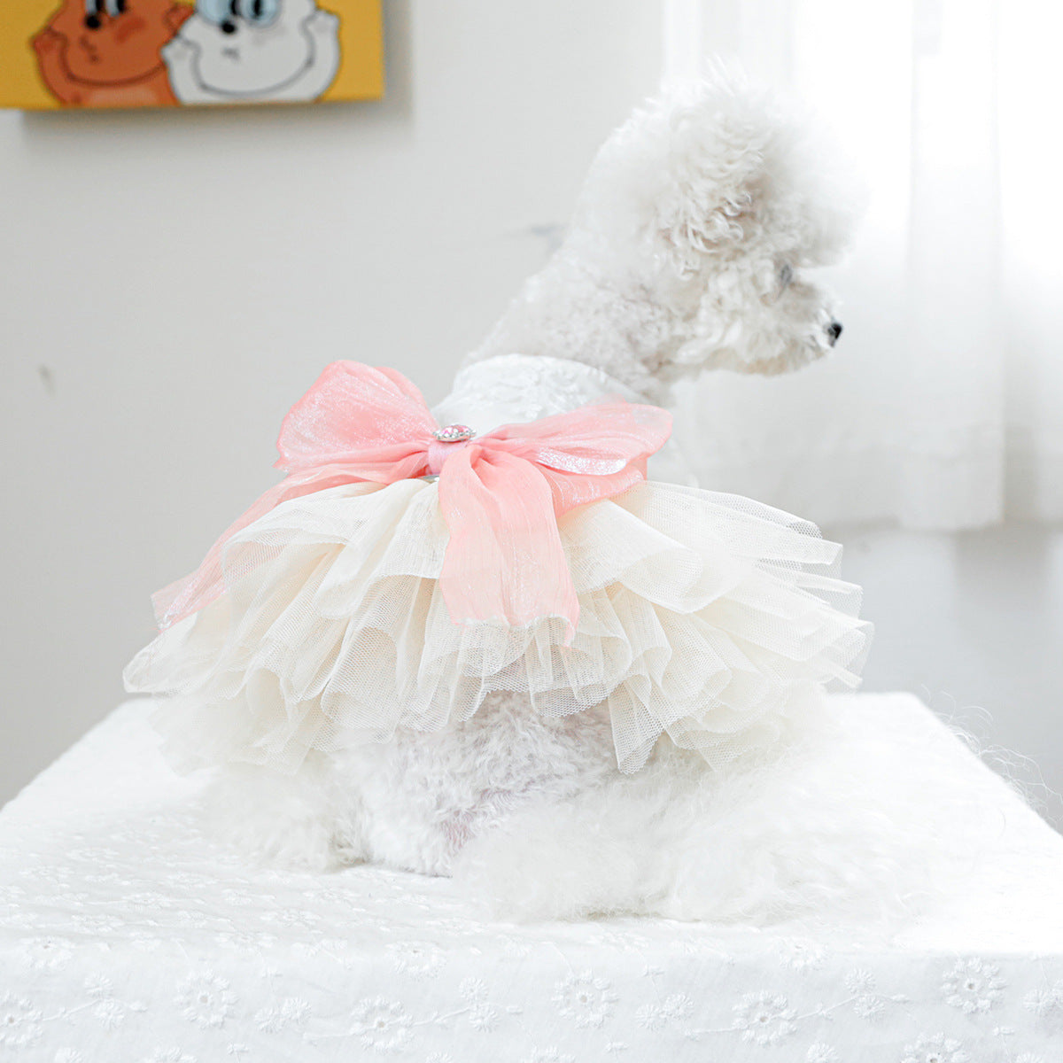 Dog Or Cat Clothes High-end Dress - canrusupet