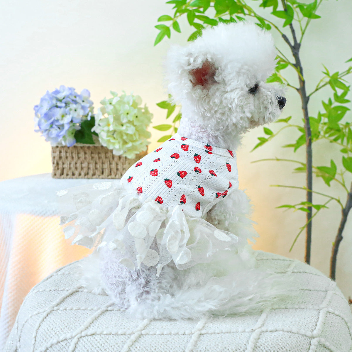 Dog Or Cat Clothes Strawberry Polka Dot Dress - canrusupet