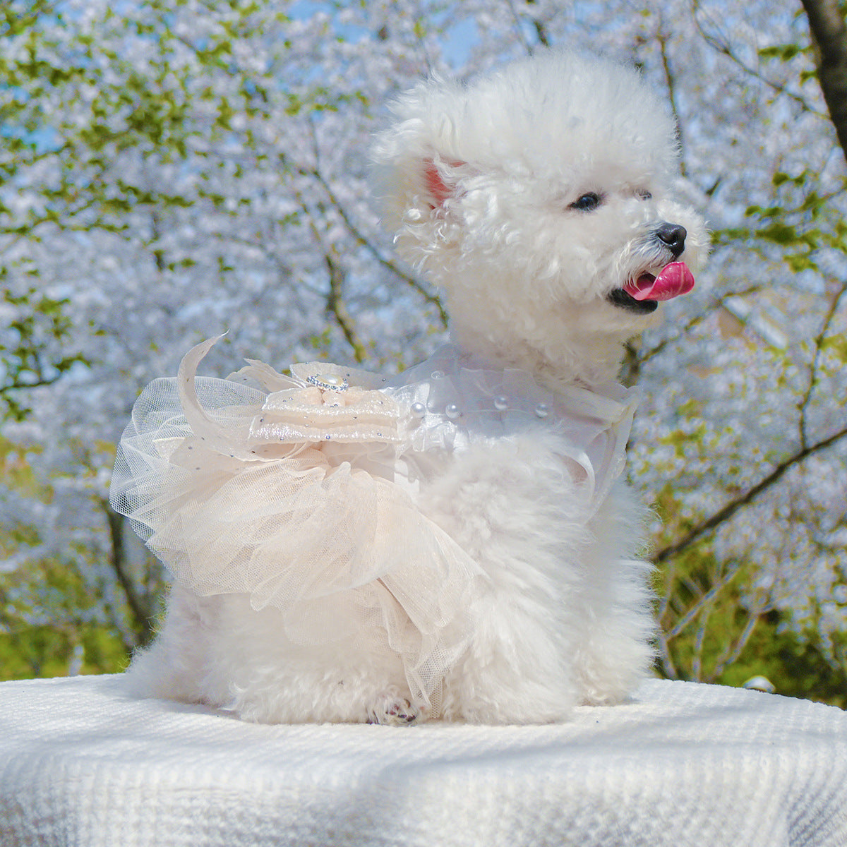 Dog Or Cat Clothes Princess Wedding Dress - canrusupet