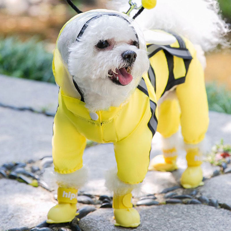 Dog Raincoat | Waterproof Full-Coverage 4-Leg For Small Dog canrusupet