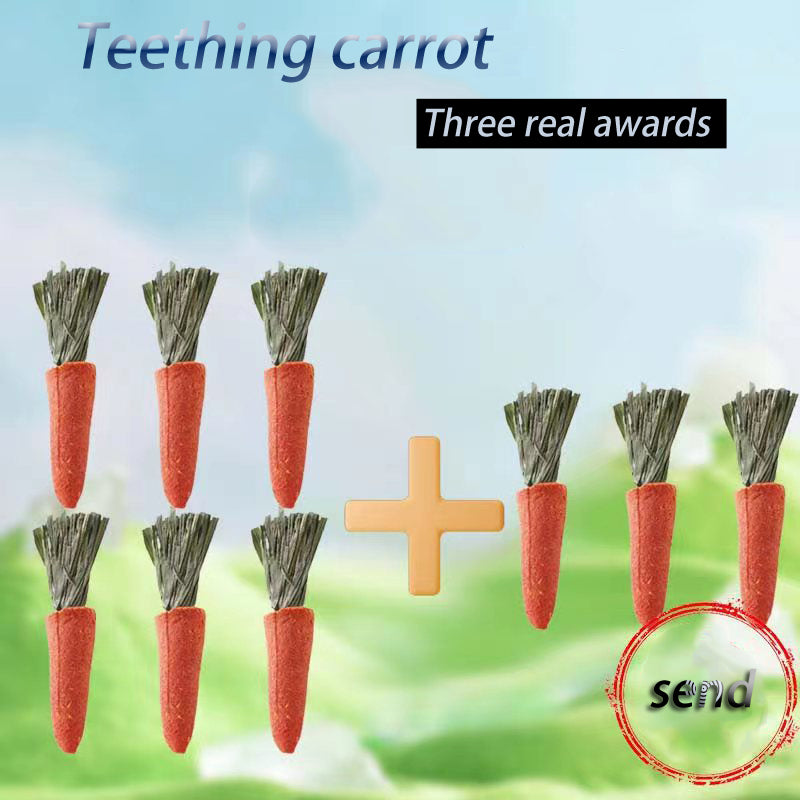 Hamster Carrot Teething Stick - canrusupet