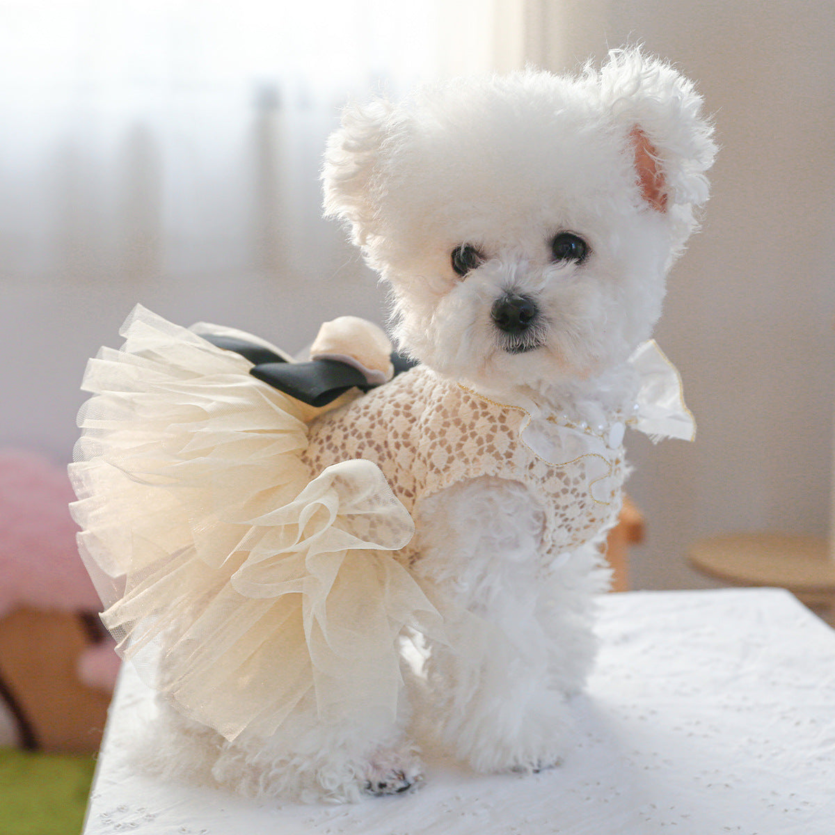 Dog or Cat Clothes Princess Pompadour Wedding Dress - canrusupet