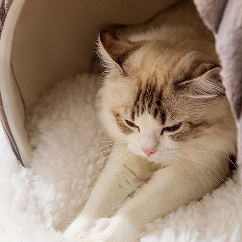 Arctic Snowhouse Enclosed Pumpkin Style Cat Bed For Pet canrusupet