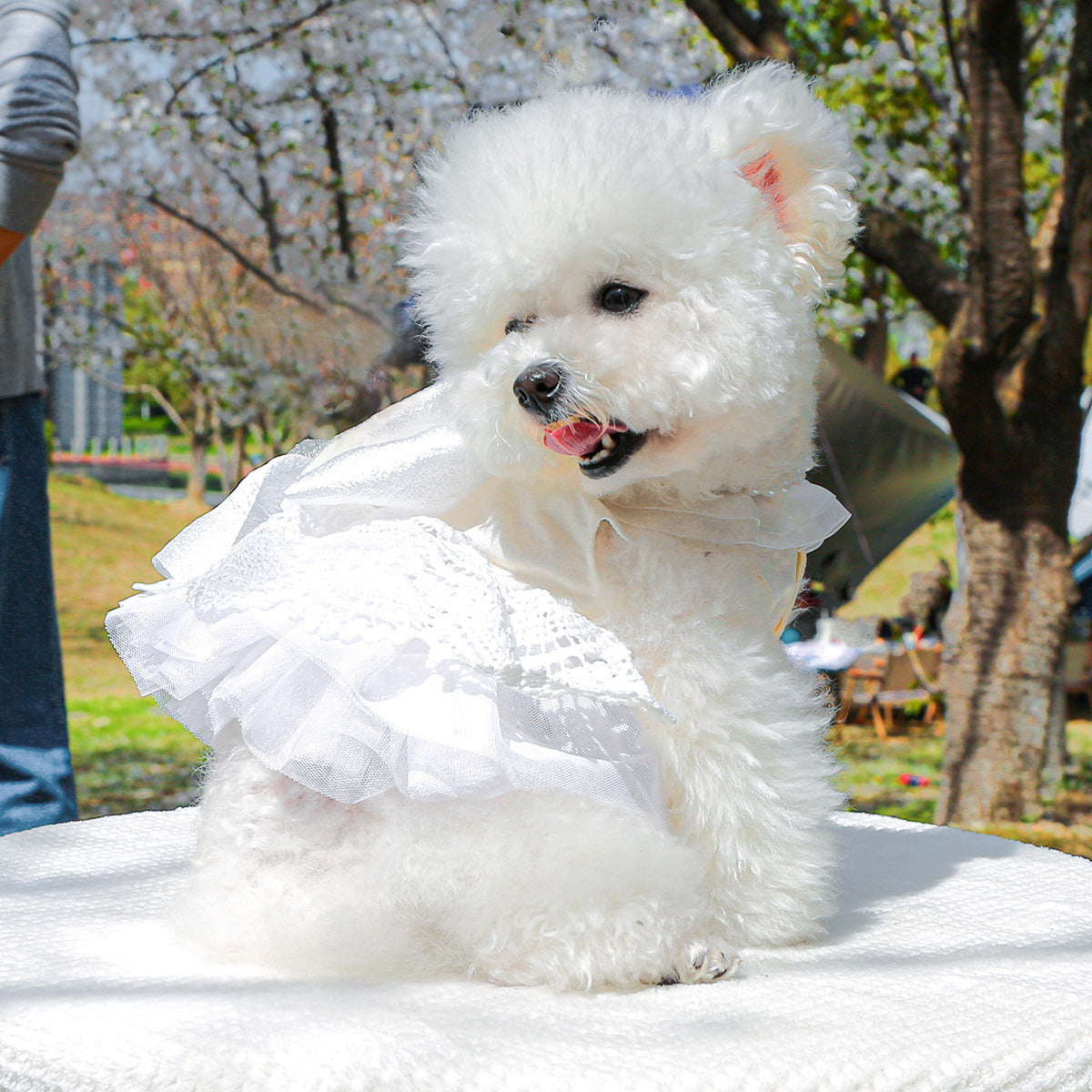 Dog Or Cat Clothes Wedding Dress With Pearls - canrusupet