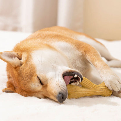 Teeth Grinding Dog Toys Suitable For All Dog Breeds canrusupet