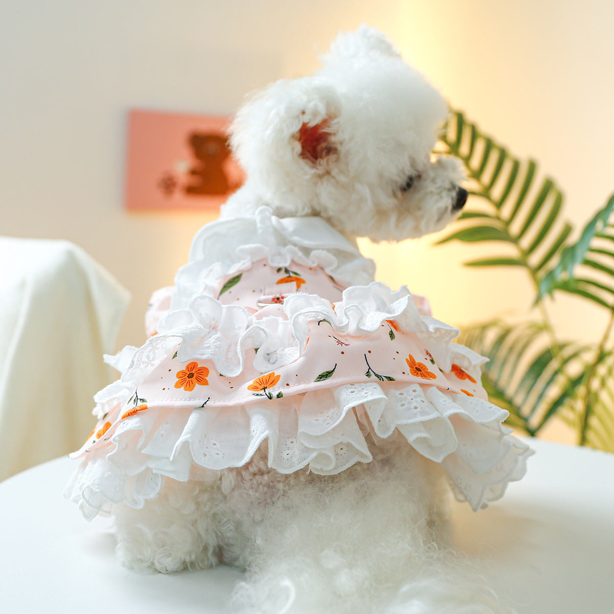 Dog Or Cat Clothes The Tulle Skirt - canrusupet