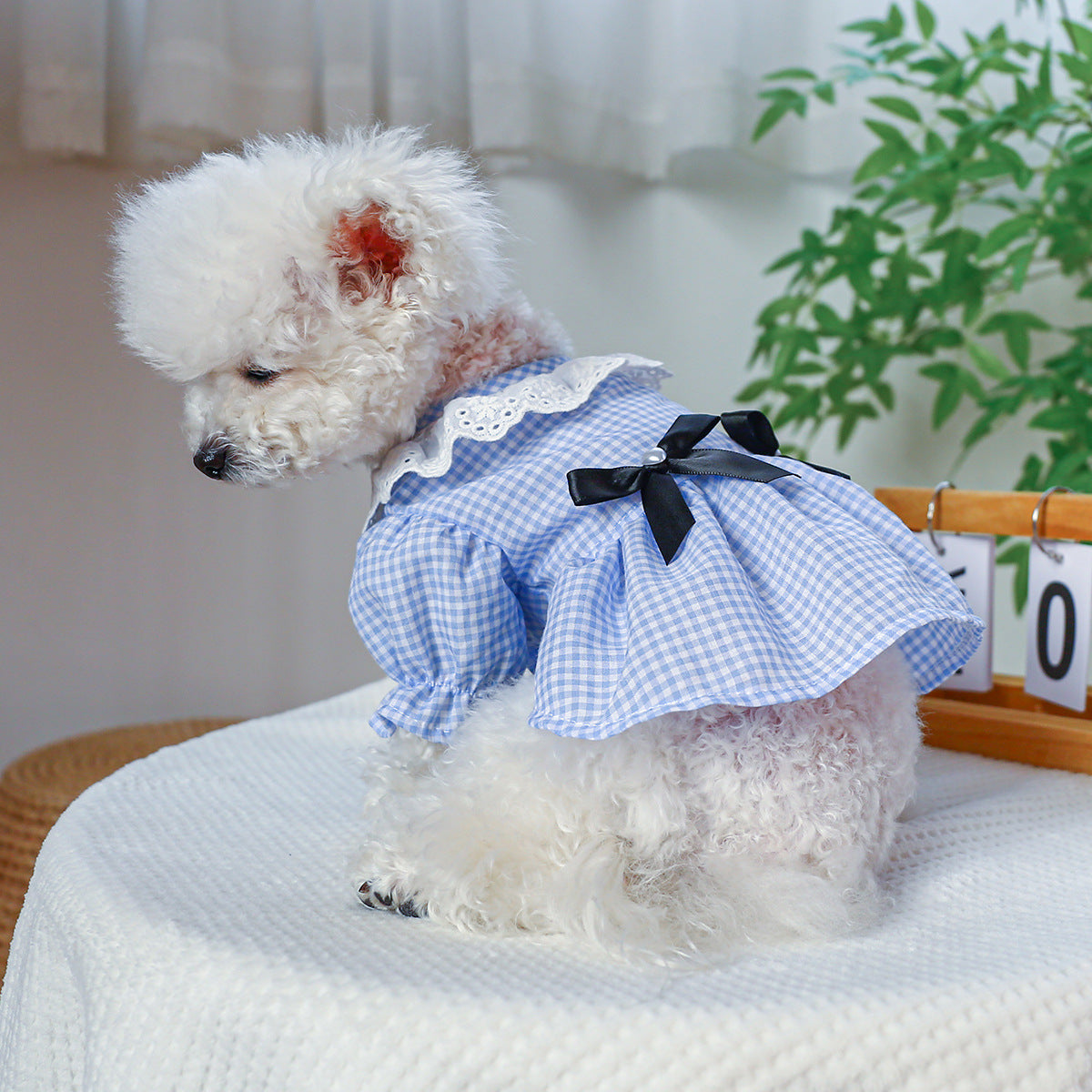 Dog Or Cat Clothes Checked Pearl Skirt - canrusupet