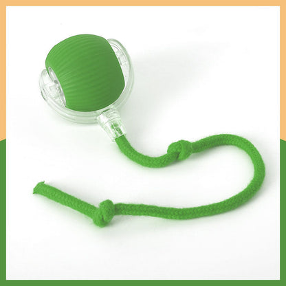 Dog Toys Auto-Rolling USB Rechargeable Ball For Cats & Dogs canrusupet