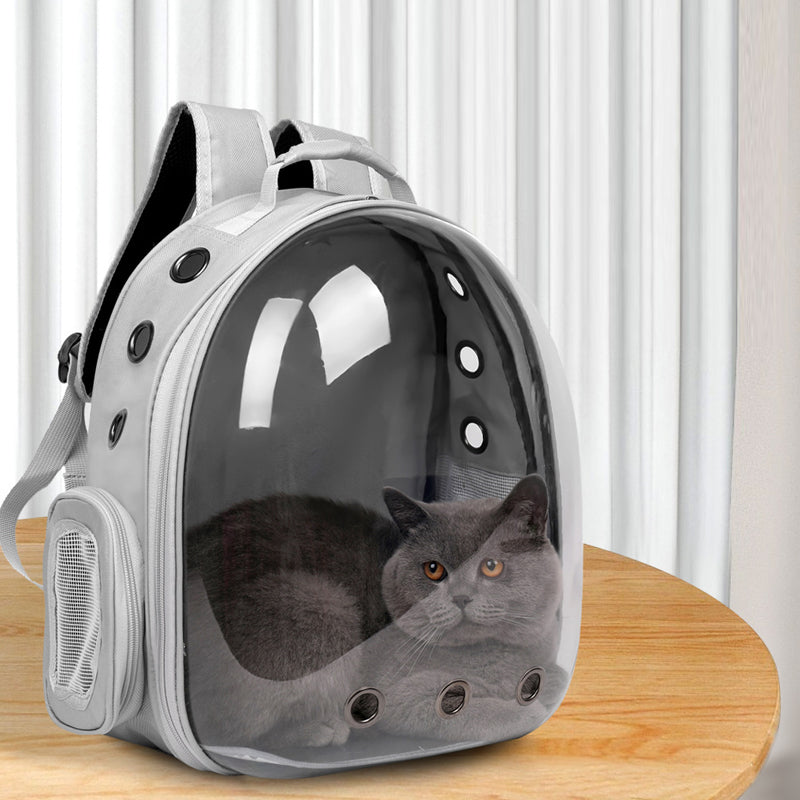 Portable Space Capsule Transparent Cat Pet Travel Bag - canrusupet