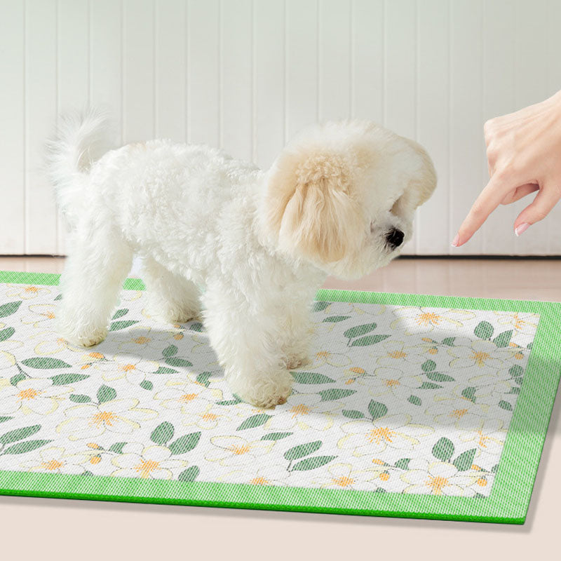 Puppy Training Pads - Scented Absorbent Disposable Pet Pads canrusupet
