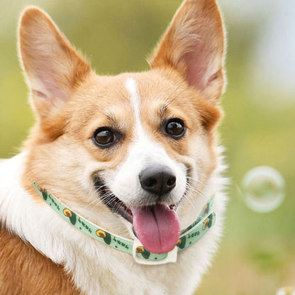 Insect Repellent Plant Essential Oils Choker For Dogs Cats