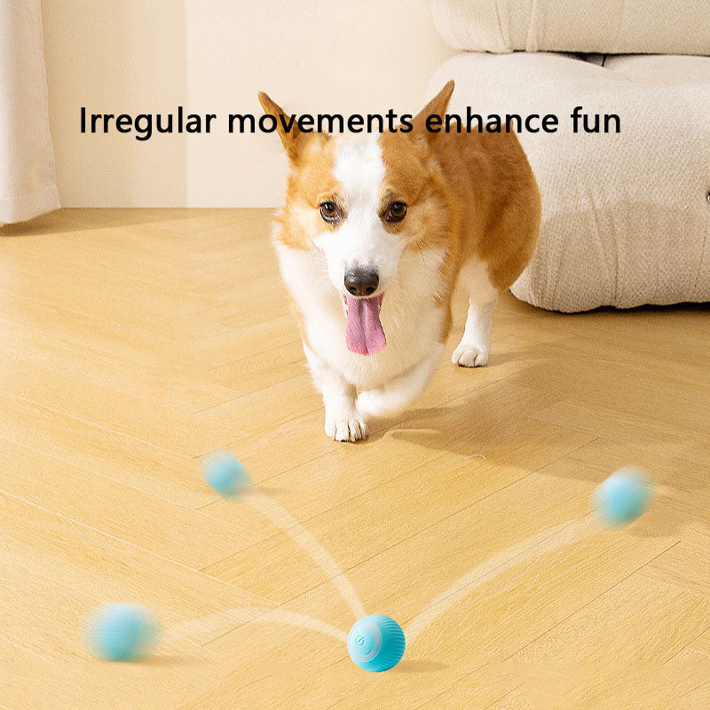 Chew-Proof Self-Rolling Dog Toys - Interactive Fetch Ball canrusupet
