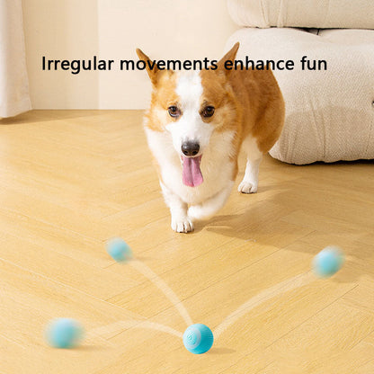 Chew-Proof Self-Rolling Dog Toys - Interactive Fetch Ball canrusupet