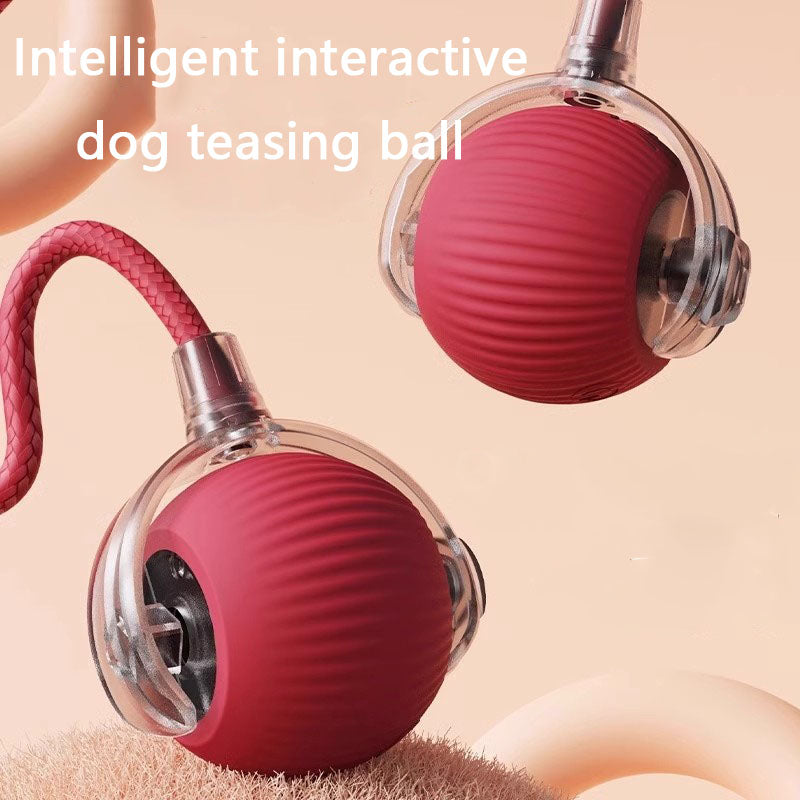 Dog Toys Auto-Rolling USB Rechargeable Ball For Cats & Dogs canrusupet