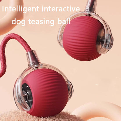 Dog Toys Auto-Rolling USB Rechargeable Ball For Cats & Dogs canrusupet