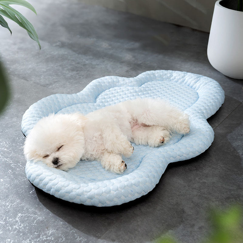 Cool Feeling Cloud Shaped Dog Kennel For Small Dogs Cats canrusupet