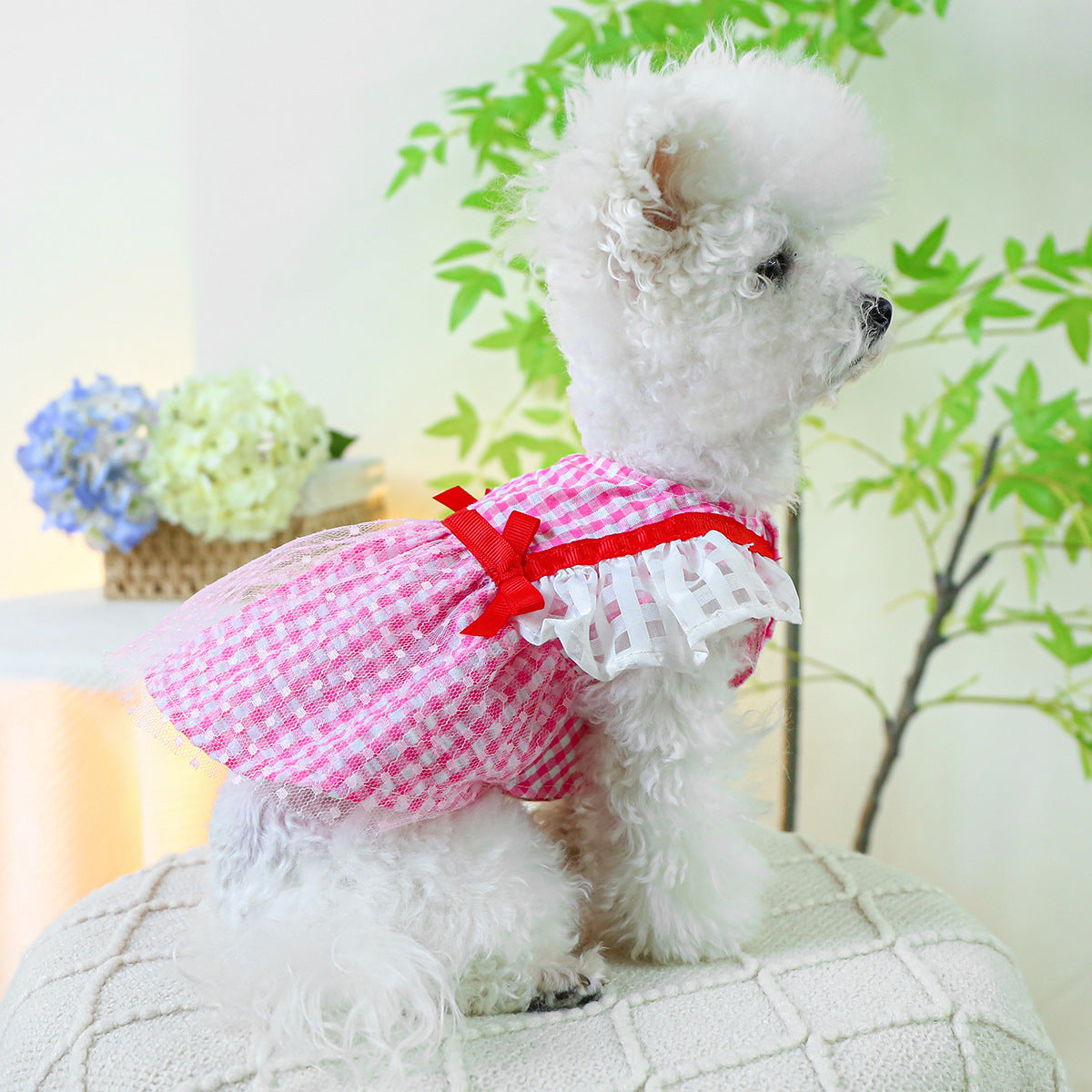 Dog Or Cat Clothes Woven Gauze Skirt - canrusupet