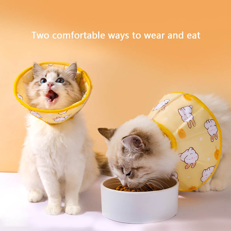 Cute Pattern Anti Licking Cones Shield Neck Brace For Pet canrusupet