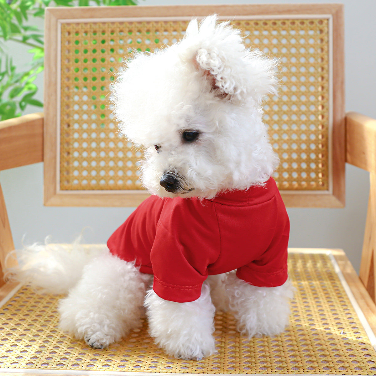 Dog Or Cat ClothesSolid color crewneck - canrusupet