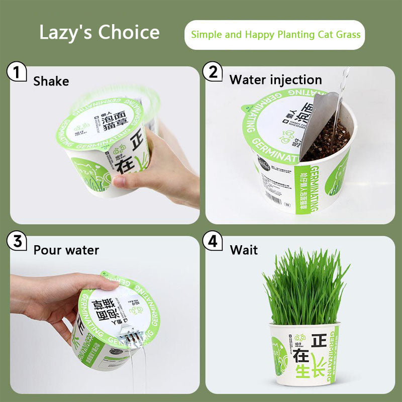 Easy-Grow Cat Grass Kit - Hairball Relief For Indoor Cats canrusupet