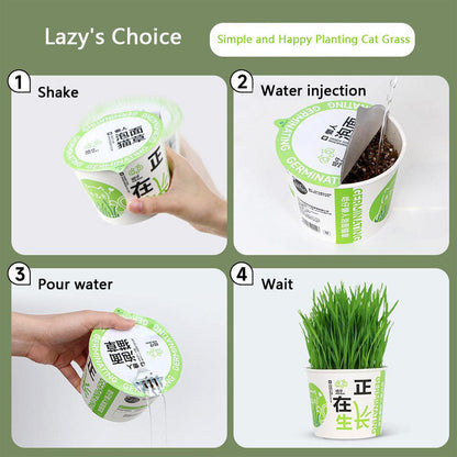 Easy-Grow Cat Grass Kit - Hairball Relief For Indoor Cats canrusupet