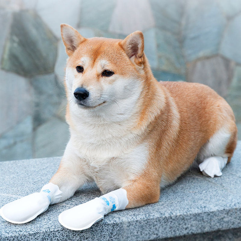 Waterproof Dog Boots For Puppy Disposable Outdoor Shoe Covers canrusupet