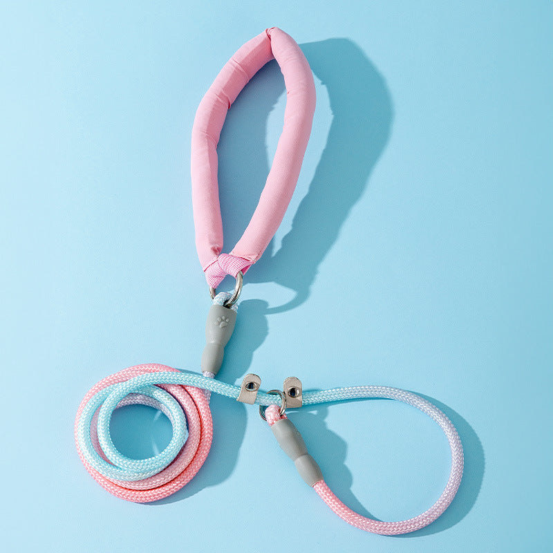 Ombre Dog Lead For Medium Dogs - Anti-Pull Training Leash canrusupet