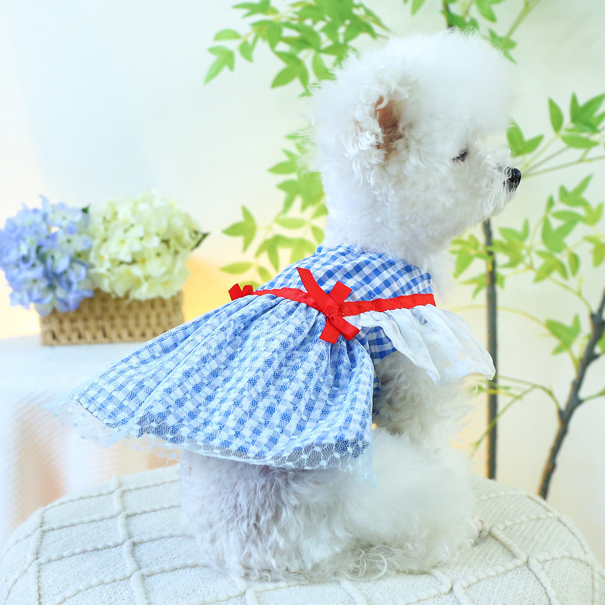 Dog Or Cat Clothes Apple Collar Skirt - canrusupet