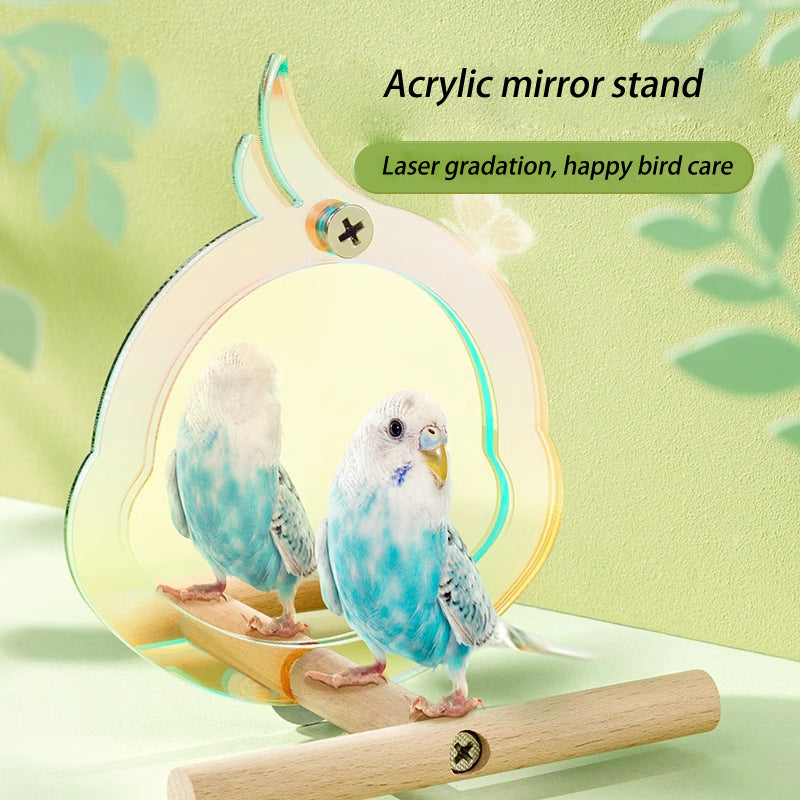 Acrylic parrot stand - canrusupet