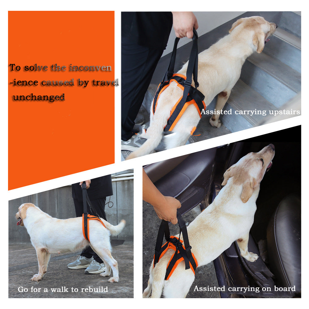 Walking Strap For Elderly Disabled dogs - canrusupet