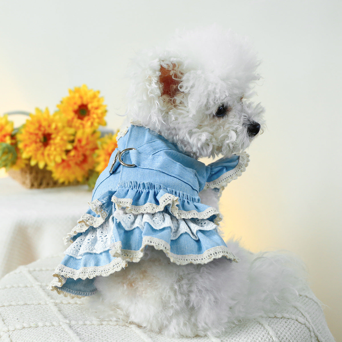 Dog Or Cat Clothes Denim Skirt With Flying Sleeves And Lace - canrusupet