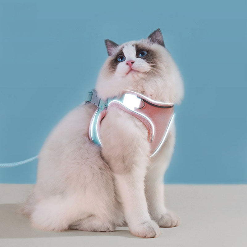 Chest And Back Styles Dog Leash With Reflective Strip canrusupet