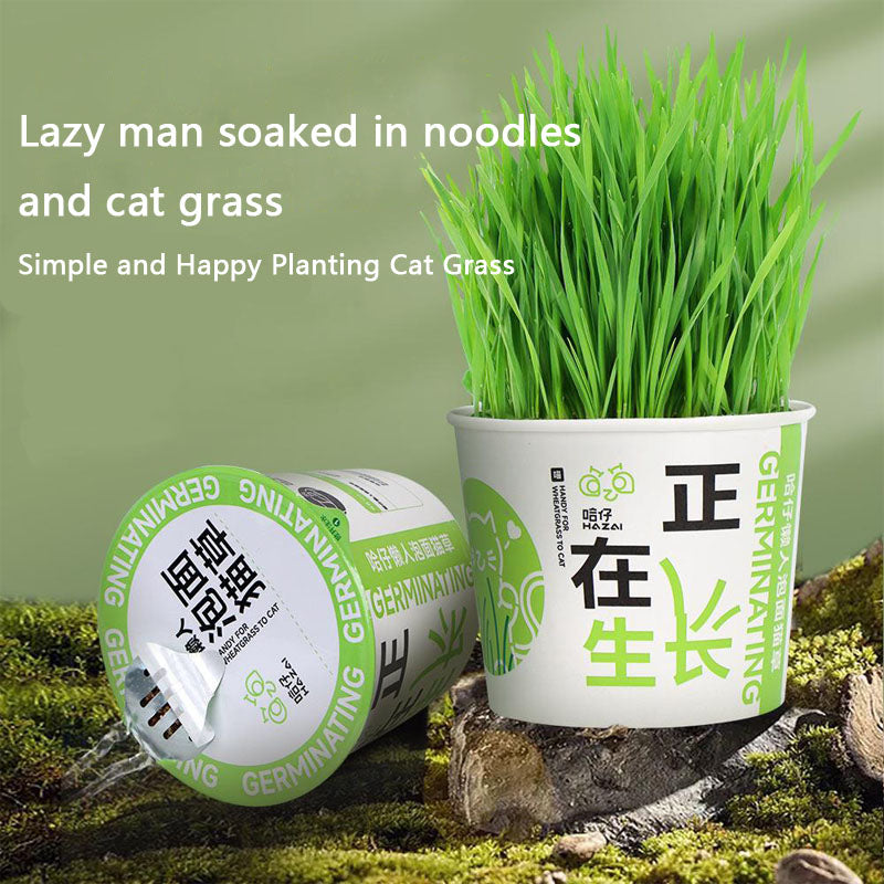 Easy-Grow Cat Grass Kit - Hairball Relief For Indoor Cats canrusupet