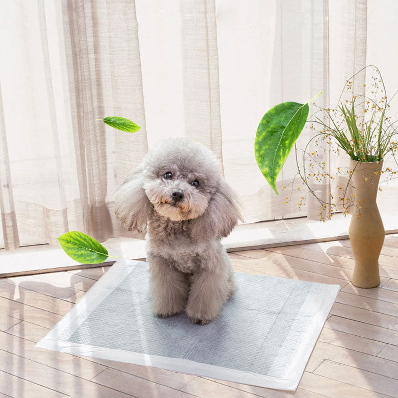 Puppy Training Pads - Absorbent With Odor Control For Dogs canrusupet
