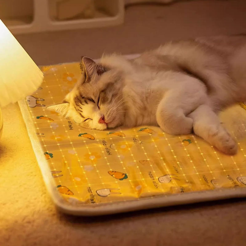 Dog Kennel Heated Pad Waterproof Heating Mat For Dogs & Cats canrusupet