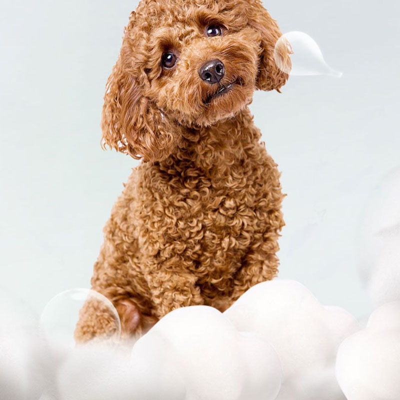 Substantivity Dog Shampoo Specially Designed For Pets canrusupet