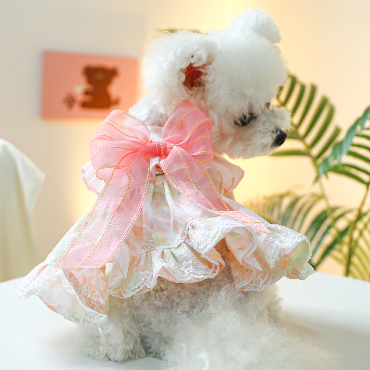 Dog Or Cat Clothes A Princess Dress With A Bow - canrusupet