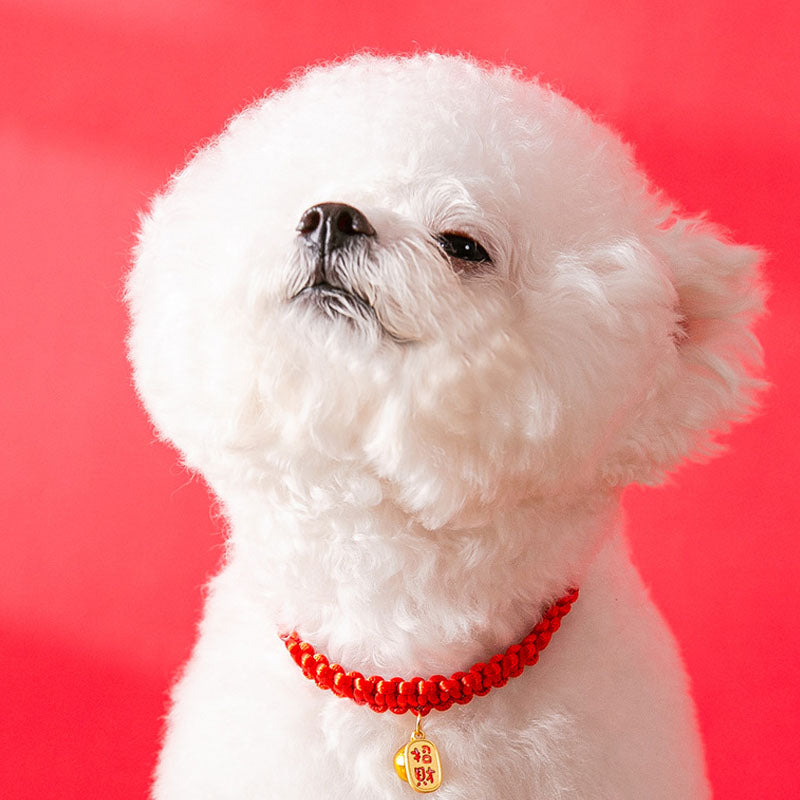 Cat Collar Red Rope With Lucky Bell & Lock - Good Fortune canrusupet