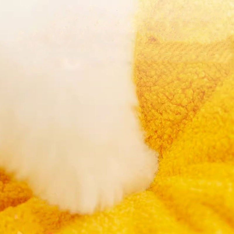 Removable Sofa Style Dog Kennel For Small Dogs Cats canrusupet