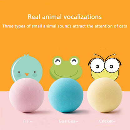 Catnip Toys Squeaky Ball For Cat - Chew-Resistant Kitten Toy canrusupet