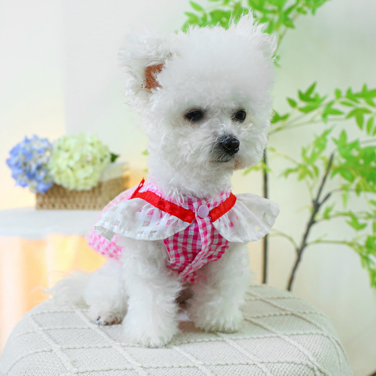 Dog Or Cat Clothes Woven Gauze Skirt - canrusupet