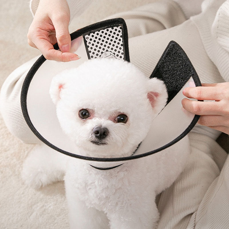 Anti Bite Cones Shield Neck Brace For Cats Dogs canrusupet