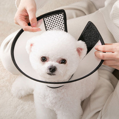 Anti Bite Cones Shield Neck Brace For Cats Dogs canrusupet