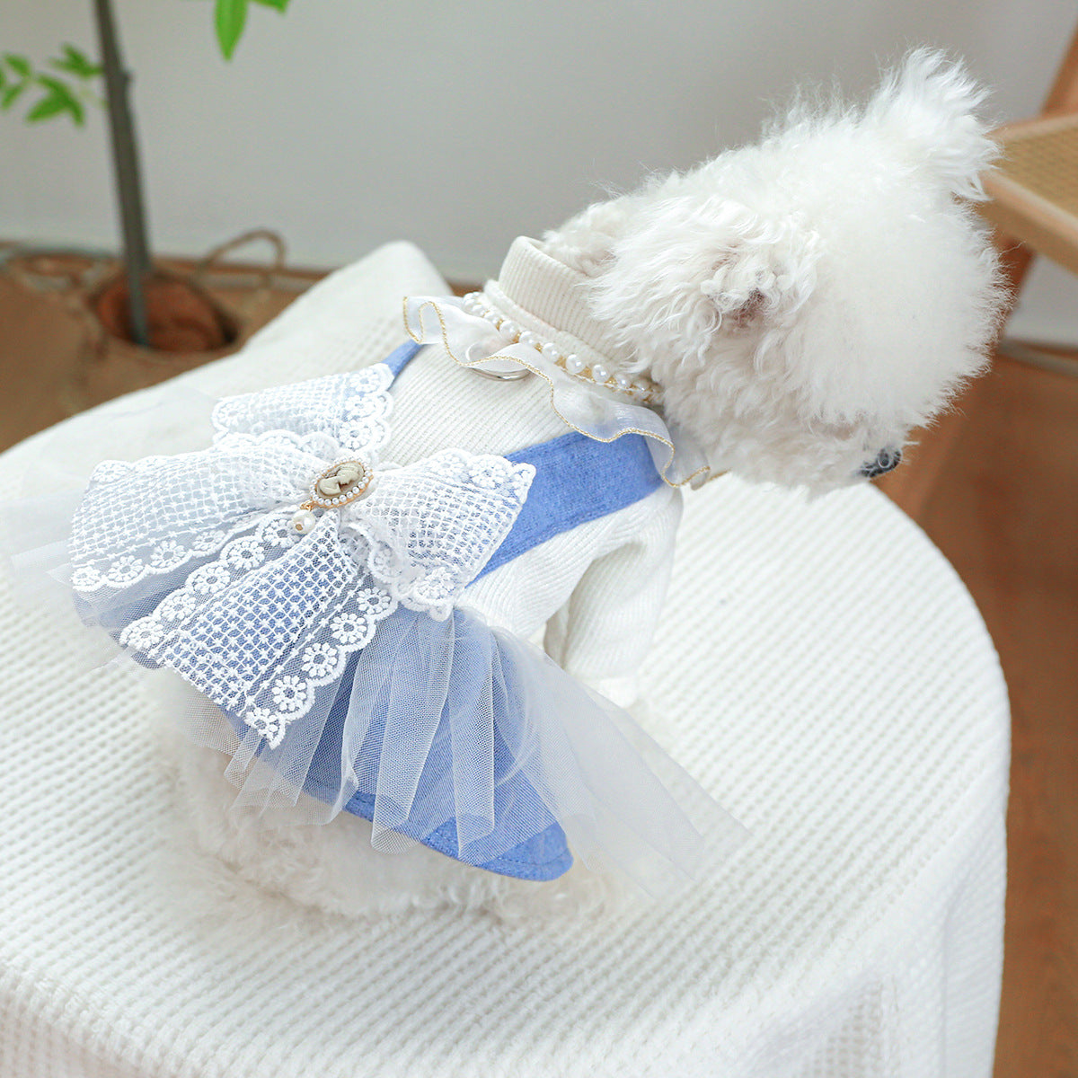 Dog Or Cat Clothes Pearl Lace Skirt - canrusupet