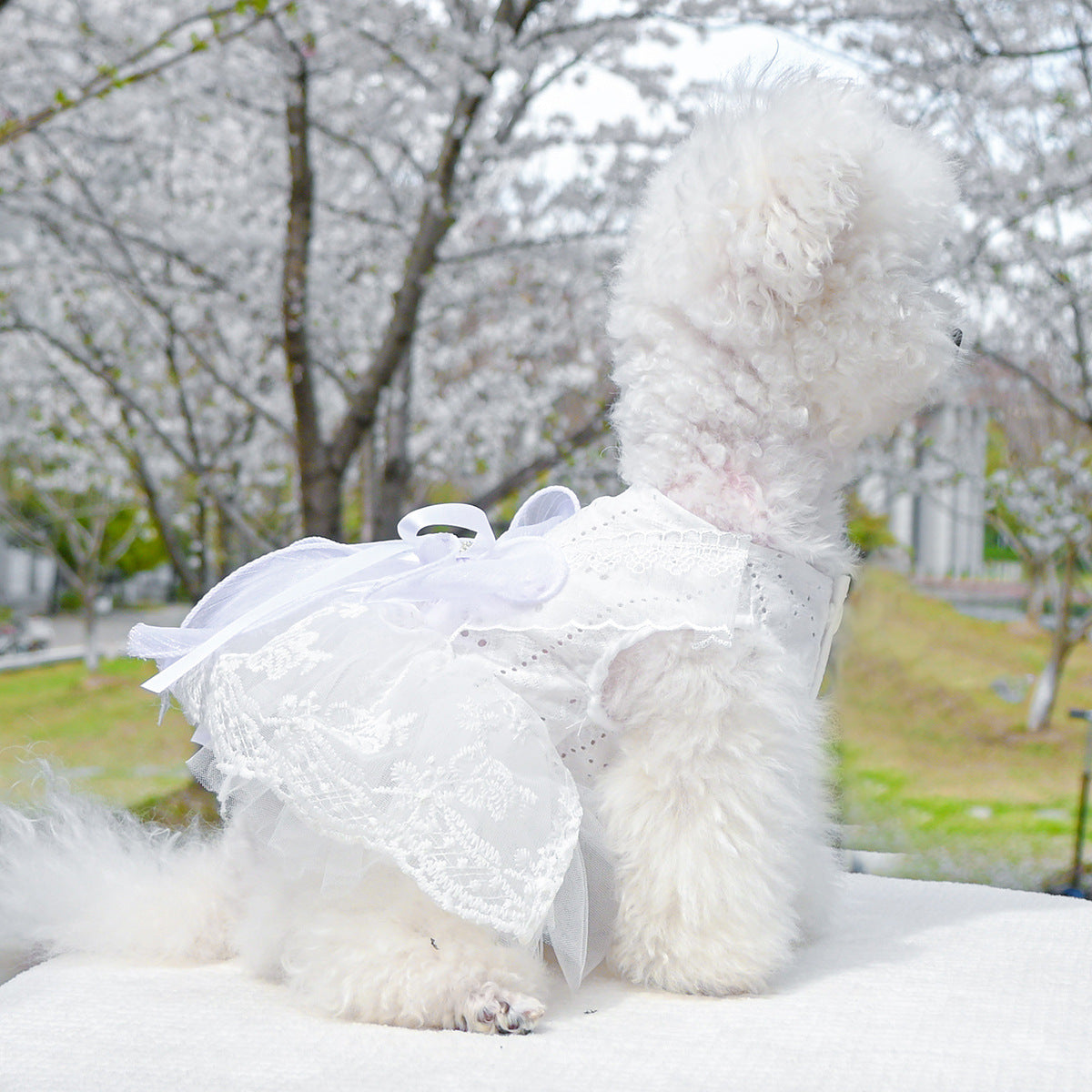 Dog Or Cat Clothes Princess Wedding Dress - canrusupet