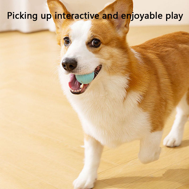 Chew-Proof Self-Rolling Dog Toys - Interactive Fetch Ball canrusupet