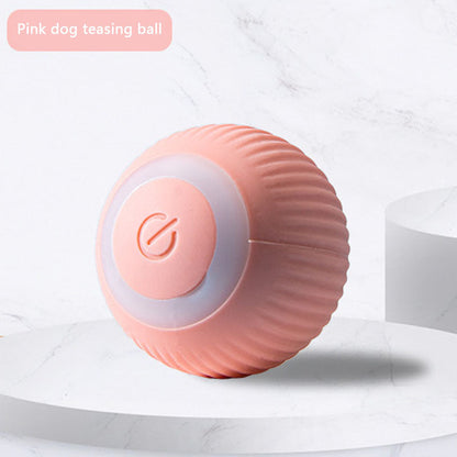 Chew-Proof Self-Rolling Dog Toys - Interactive Fetch Ball canrusupet