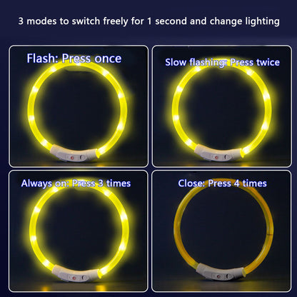 Glow Dog Choker Necklace – Rechargeable Adjustable Anti-Chew canrusupet